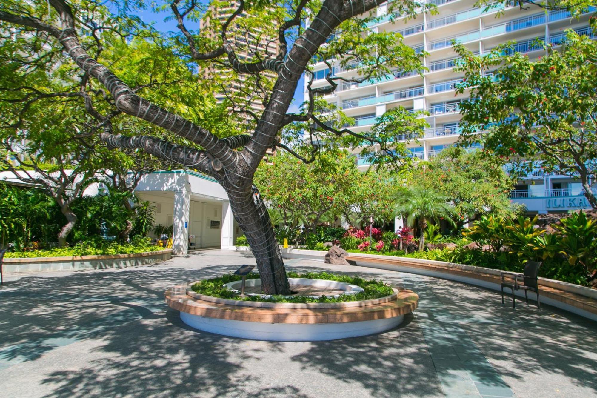 Ilikai Tower 931 Yacht Harbor View 1Br Apartamento Honolulu Exterior foto